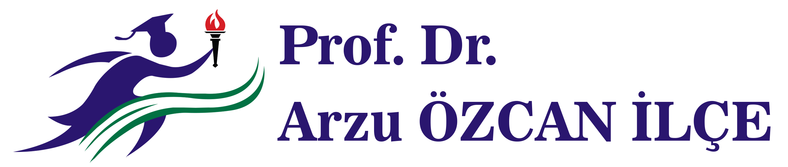 Prof. Dr. Arzu İlçe